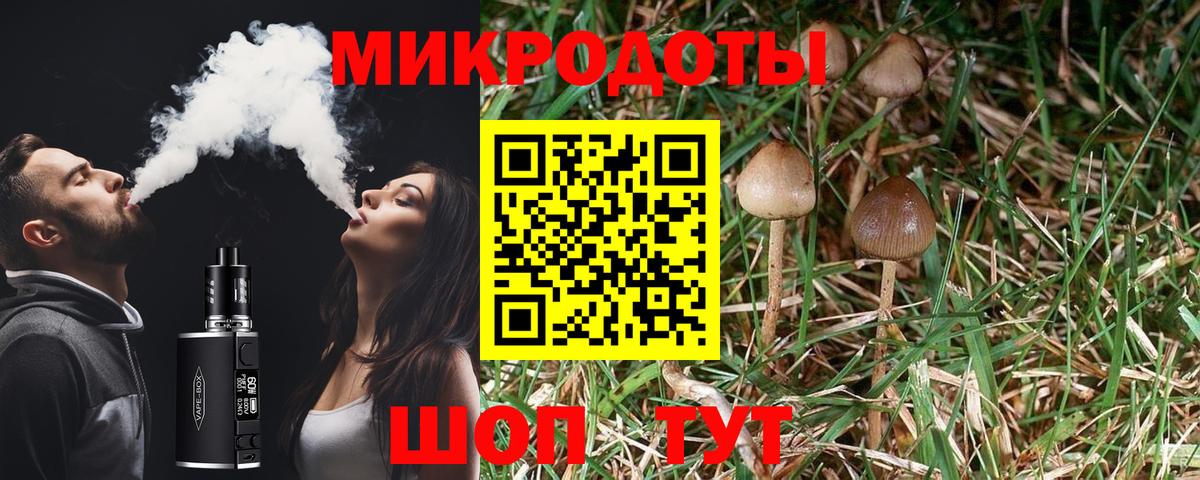 Великие Луки  Псилоцибиновые грибы Psilocybe  Вход с VPN 