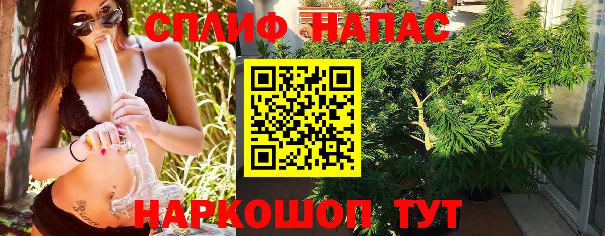 Бошки марихуана планчик  Вход с VPN  Великие Луки  Конопля ГИДРОПОН 